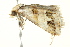  ( - BIOUG02080-A05)  @12 [ ] CreativeCommons - Attribution (2012) CBG Photography Group Centre for Biodiversity Genomics