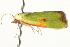 ( - BIOUG02080-B03)  @13 [ ] CreativeCommons - Attribution (2012) CBG Photography Group Centre for Biodiversity Genomics
