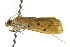  ( - BIOUG02080-D12)  @12 [ ] CreativeCommons - Attribution (2012) CBG Photography Group Centre for Biodiversity Genomics
