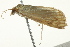  ( - BIOUG02080-E04)  @12 [ ] CreativeCommons - Attribution (2012) CBG Photography Group Centre for Biodiversity Genomics
