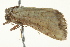  ( - BIOUG02080-E05)  @13 [ ] CreativeCommons - Attribution (2012) CBG Photography Group Centre for Biodiversity Genomics