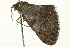  ( - BIOUG02080-E10)  @12 [ ] CreativeCommons - Attribution (2012) CBG Photography Group Centre for Biodiversity Genomics