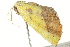  ( - BIOUG02080-F04)  @12 [ ] CreativeCommons - Attribution (2012) CBG Photography Group Centre for Biodiversity Genomics