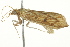  ( - BIOUG02080-H01)  @12 [ ] CreativeCommons - Attribution (2012) CBG Photography Group Centre for Biodiversity Genomics