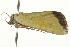  ( - BIOUG02080-H08)  @13 [ ] CreativeCommons - Attribution (2012) CBG Photography Group Centre for Biodiversity Genomics