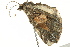  ( - BIOUG02083-B12)  @12 [ ] CreativeCommons - Attribution (2012) CBG Photography Group Centre for Biodiversity Genomics