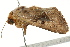  ( - BIOUG02084-A04)  @12 [ ] CreativeCommons - Attribution (2012) CBG Photography Group Centre for Biodiversity Genomics