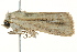  ( - BIOUG02084-F04)  @13 [ ] CreativeCommons - Attribution (2012) CBG Photography Group Centre for Biodiversity Genomics