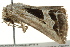  ( - BIOUG02084-F11)  @12 [ ] CreativeCommons - Attribution (2012) CBG Photography Group Centre for Biodiversity Genomics