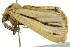  ( - BIOUG02084-G11)  @13 [ ] CreativeCommons - Attribution (2012) CBG Photography Group Centre for Biodiversity Genomics