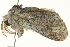 ( - BIOUG02084-H02)  @12 [ ] CreativeCommons - Attribution (2012) CBG Photography Group Centre for Biodiversity Genomics