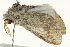  ( - BIOUG02084-H05)  @12 [ ] CreativeCommons - Attribution (2012) CBG Photography Group Centre for Biodiversity Genomics