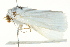  ( - BIOUG02085-G03)  @12 [ ] CreativeCommons - Attribution (2012) CBG Photography Group Centre for Biodiversity Genomics