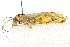  ( - BIOUG02064-B05)  @12 [ ] CreativeCommons - Attribution (2012) CBG Photography Group Centre for Biodiversity Genomics