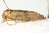  ( - BIOUG02064-C03)  @12 [ ] CreativeCommons - Attribution (2012) CBG Photography Group Centre for Biodiversity Genomics