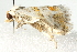  ( - BIOUG02064-C06)  @12 [ ] CreativeCommons - Attribution (2012) CBG Photography Group Centre for Biodiversity Genomics