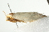  ( - BIOUG02064-C12)  @12 [ ] CreativeCommons - Attribution (2012) CBG Photography Group Centre for Biodiversity Genomics