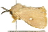  ( - BIOUG02086-F01)  @13 [ ] CreativeCommons - Attribution (2012) CBG Photography Group Centre for Biodiversity Genomics