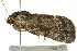  ( - BIOUG02086-H06)  @12 [ ] CreativeCommons - Attribution (2012) CBG Photography Group Centre for Biodiversity Genomics