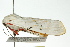  ( - BIOUG02086-H09)  @12 [ ] CreativeCommons - Attribution (2012) CBG Photography Group Centre for Biodiversity Genomics