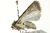  ( - BIOUG02087-H10)  @14 [ ] CreativeCommons - Attribution (2012) CBG Photography Group Centre for Biodiversity Genomics