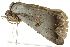  ( - BIOUG02092-E01)  @12 [ ] CreativeCommons - Attribution (2012) CBG Photography Group Centre for Biodiversity Genomics