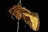  ( - 2006-TASER-SBP-2521)  @13 [ ] Copyright (2010) Unspecified Unspecified