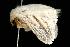  ( - 2006-TASER-SBP-2522)  @12 [ ] Copyright (2010) Unspecified Unspecified