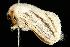  ( - 2006-TASER-SBP-2540)  @12 [ ] Copyright (2010) Unspecified Unspecified