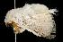  ( - 2006-TASER-SBP-2546)  @12 [ ] Copyright (2010) Unspecified Unspecified