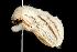  ( - 2006-TASER-SBP-2562)  @12 [ ] Copyright (2010) Unspecified Unspecified
