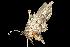  ( - 2006-TASER-SBP-2577)  @13 [ ] Copyright (2010) Unspecified Unspecified