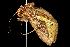  ( - 2006-TASER-SBP-2599)  @13 [ ] Copyright (2010) Unspecified Unspecified