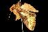  ( - 2006-TASER-SBP-2610)  @13 [ ] Copyright (2010) Unspecified Unspecified