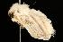  ( - 2006-TASER-SBP-2618)  @12 [ ] Copyright (2010) Unspecified Unspecified