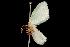 ( - 2006-TASER-SBP-2623)  @12 [ ] Copyright (2010) Unspecified Unspecified