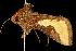  ( - 2006-TASER-SBP-2627)  @13 [ ] Copyright (2010) Unspecified Unspecified