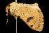  ( - 2006-TASER-SBP-2628)  @13 [ ] Copyright (2010) Unspecified Unspecified