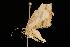  ( - 2006-TASER-SBP-2642)  @13 [ ] Copyright (2010) Unspecified Unspecified