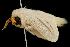  ( - 2006-TASER-SBP-2653)  @12 [ ] Copyright (2010) Unspecified Unspecified