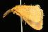  ( - 2006-TASER-SBP-2663)  @12 [ ] Copyright (2010) Unspecified Unspecified