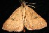  ( - 06-JKA-0184)  @12 [ ] CreativeCommons - Attribution (2010) Unspecified Centre for Biodiversity Genomics