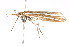  ( - K287733)  @13 [ ] CreativeCommons - Attribution Non-Commercial Share-Alike (2011) Andrew Mitchell Australian Museum