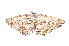  ( - K290867)  @14 [ ] CreativeCommons - Attribution Non-Commercial Share-Alike (2011) Andrew Mitchell Australian Museum