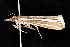  ( - K291488)  @13 [ ] CreativeCommons - Attribution Non-Commercial Share-Alike (2011) Andrew Mitchell Australian Museum