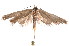  ( - K292372)  @13 [ ] CreativeCommons - Attribution Non-Commercial Share-Alike (2011) Andrew Mitchell Australian Museum