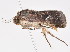  ( - am10663)  @13 [ ] CreativeCommons - Attribution Non-Commercial Share-Alike (2011) Andrew Mitchell Australian Museum