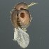  ( - BOLD-3LI48CAY7)  @11 [ ] CreativeCommons  Attribution Non-Commercial No Derivatives (2018) Nigel Binks University of Waikato