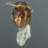  ( - BOLD-3LI48CAY7)  @11 [ ] CreativeCommons  Attribution Non-Commercial No Derivatives (2018) Nigel Binks University of Waikato