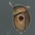  ( - BOLD-3M2XJ64F3)  @11 [ ] CreativeCommons  Attribution Non-Commercial No Derivatives (2018) Nigel Binks University of Waikato